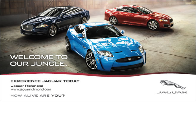 Jaguar Land Rover of Richmond Welcome to Our Jungle Campaign